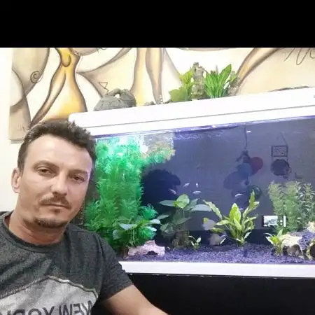 Aleksandr, 49Arad, Israel 