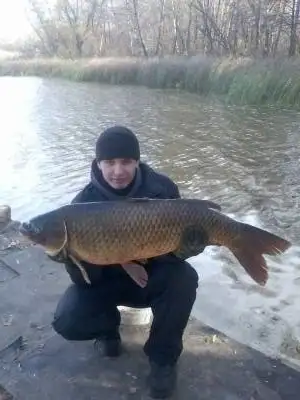 sergey, 37Israel 