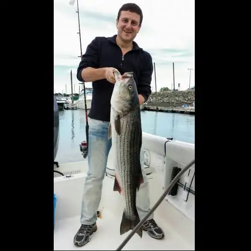 Ilya, 55USA 