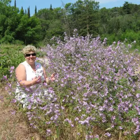 Tamara, 58Russia