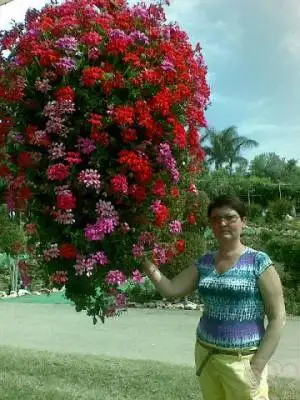 Mila, 71Haifa, Israel 