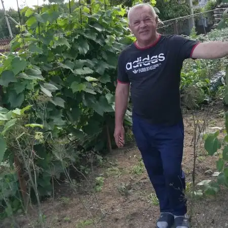 Sergey, 66Nazrat Illit, Israel