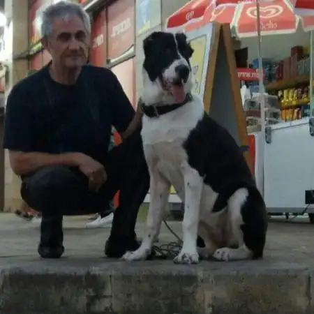 Semen, 55Rishon LeZion, Israel 