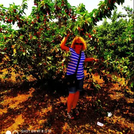 Oksana, 59Lod, Israel