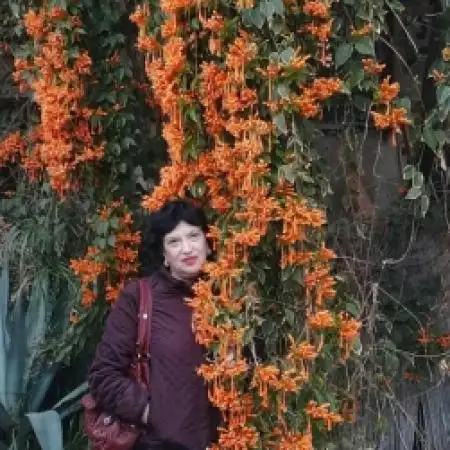 elena, 69Tel Aviv, Israel