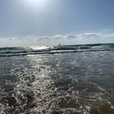 דניאל, 71Herzliya, Israel