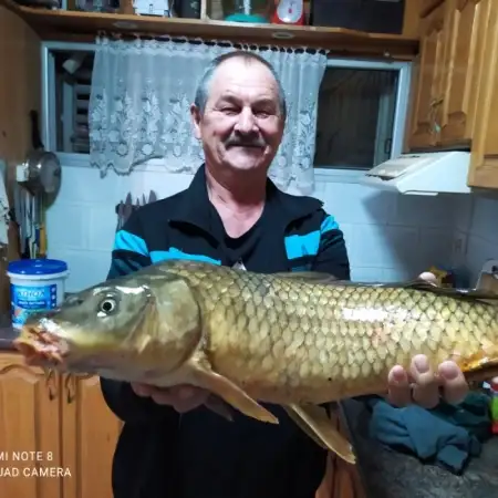 Aleksandr, 68Nazrat Illit, Israel 