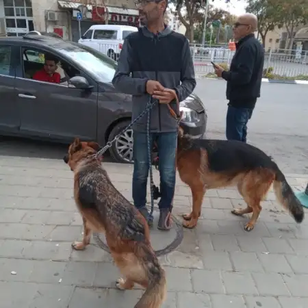 Shay, 52Beer Sheva, Israel 