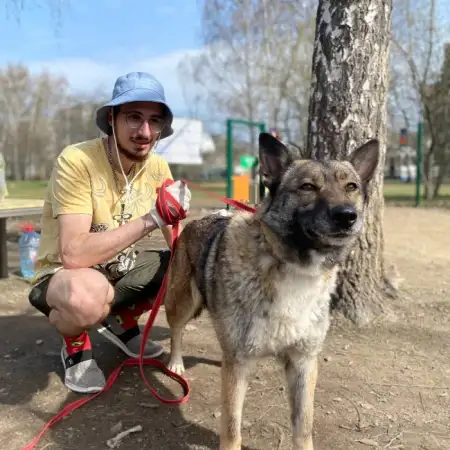 Aleksandr, 30Yekaterinburg, Russia 