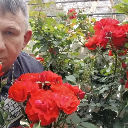 Samuel, 48Netanya, Israel 
