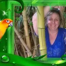 Tatyana, 60Nazrat Illit, Israel 