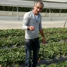 Photo שאולי 1 