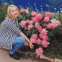Photo Valensiya 1 