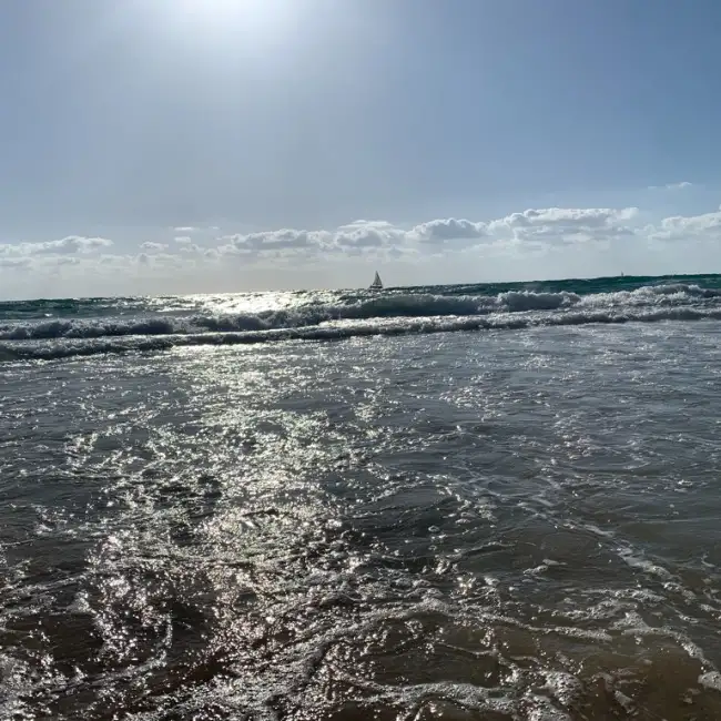 דניאל, 71, Herzliya, Israel - MazelMe