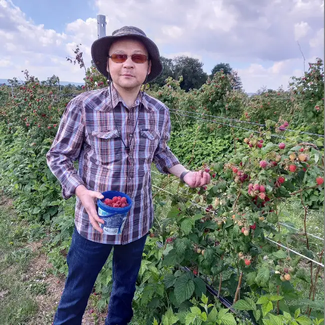 Dmitriy, 46Hanover, Germany 