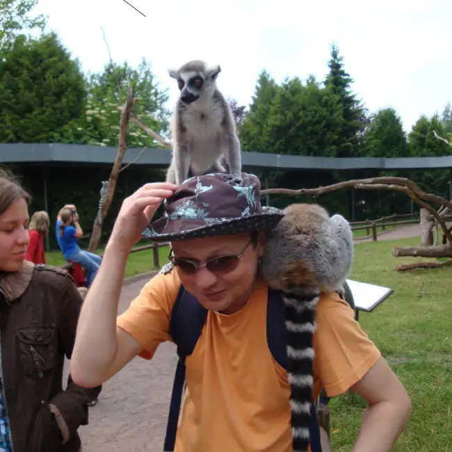 Dmitriy, 46Hanover, Germany