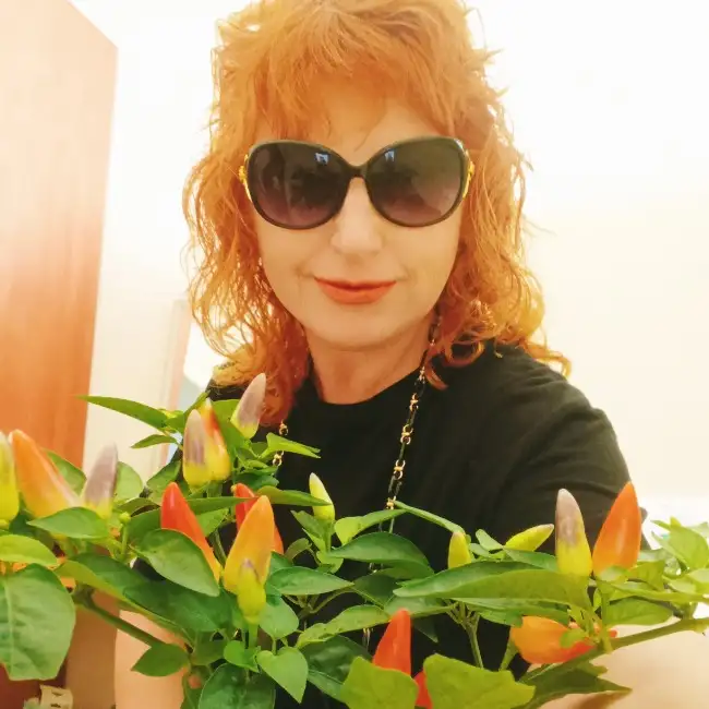 Solntse, 59, Bat Yam, Israel - MazelMe